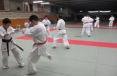 IMG_1651.jpg