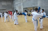 IMG_4436.jpg