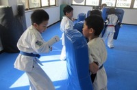 IMG_4581.jpg