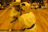 IMG_4863.jpg