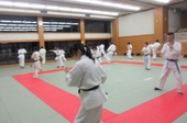 IMG_5785.jpg