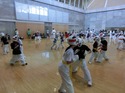 CIMG0409.jpg