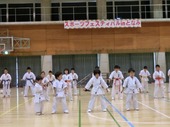 CIMG1252.jpg